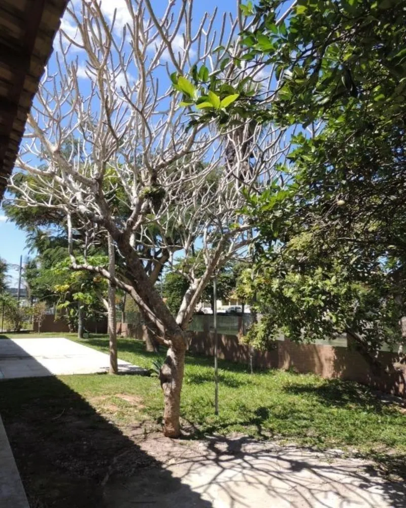 Casa, 5 quartos, 700 m² - Foto 20