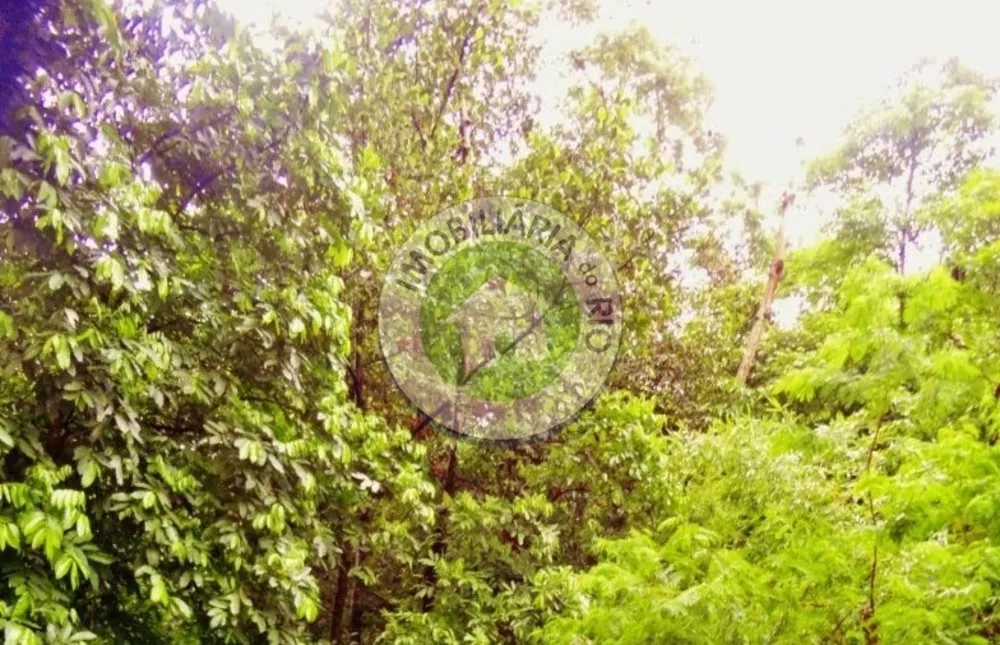 Apartamento, 2 quartos, 88 m² - Foto 15