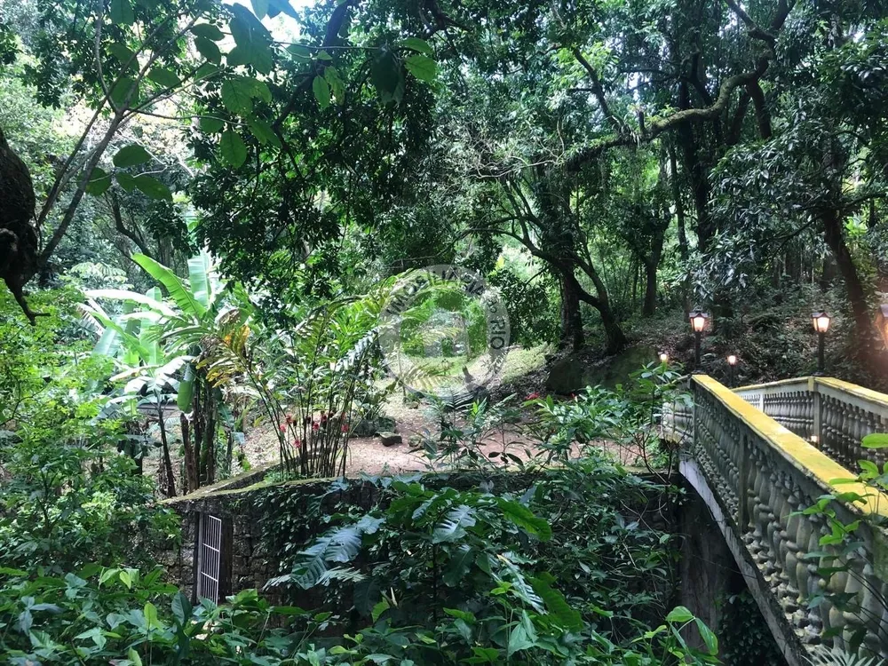 Sítio, 1 quarto, 6000 m² - Foto 7