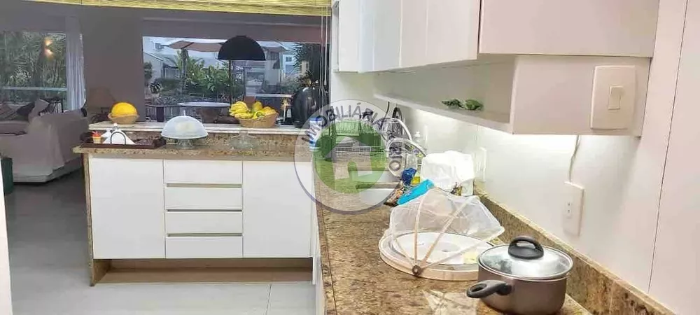 Casa, 4 quartos, 250 m² - Foto 28