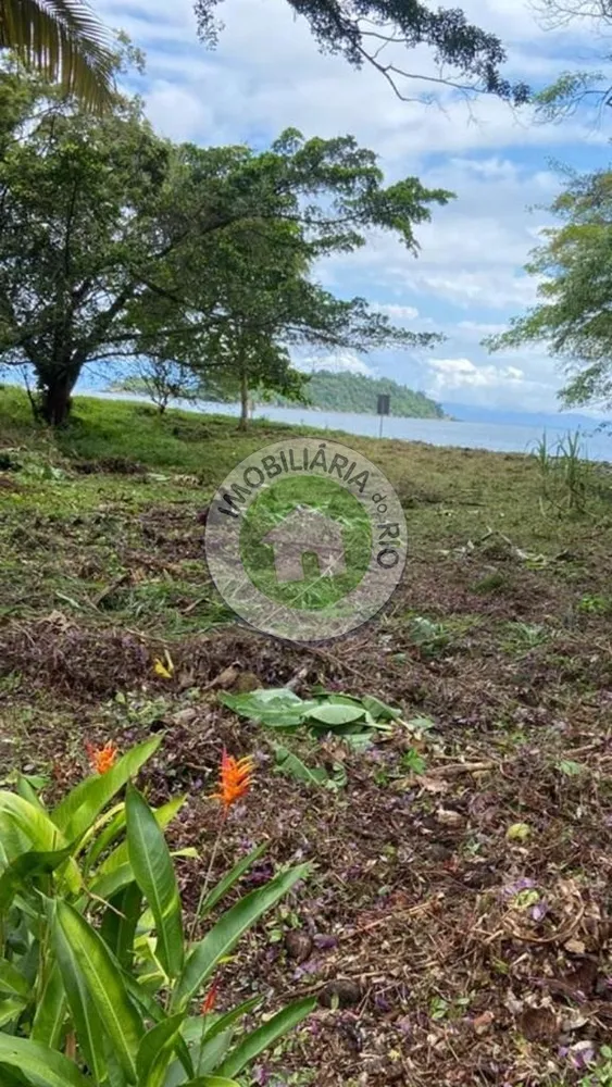 Terreno, 2 hectares - Foto 7