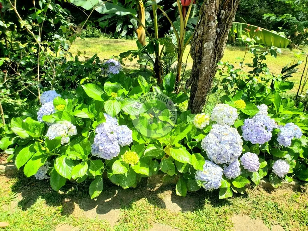 Sítio, 7 quartos - Foto 71