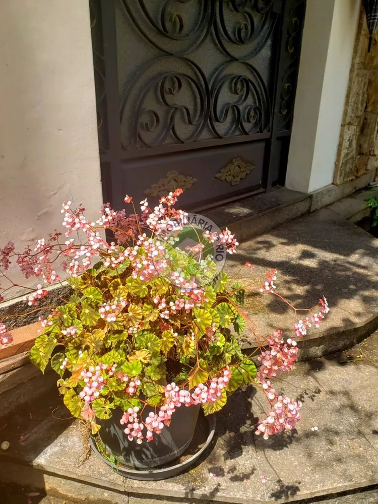 Sítio, 7 quartos - Foto 26