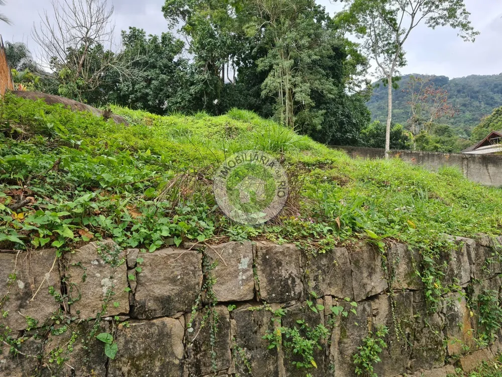 Terreno, 1000 m² - Foto 2