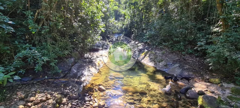 Sítio, 20 quartos, 96000 m² - Foto 11