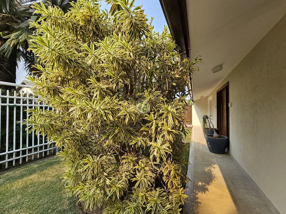 Casa, 5 quartos - Foto 7