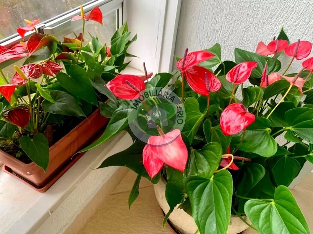 Cobertura, 3 quartos, 320 m² - Foto 70