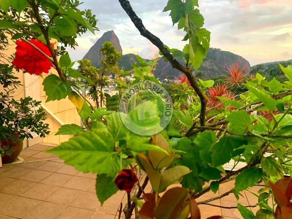 Cobertura, 3 quartos, 320 m² - Foto 63