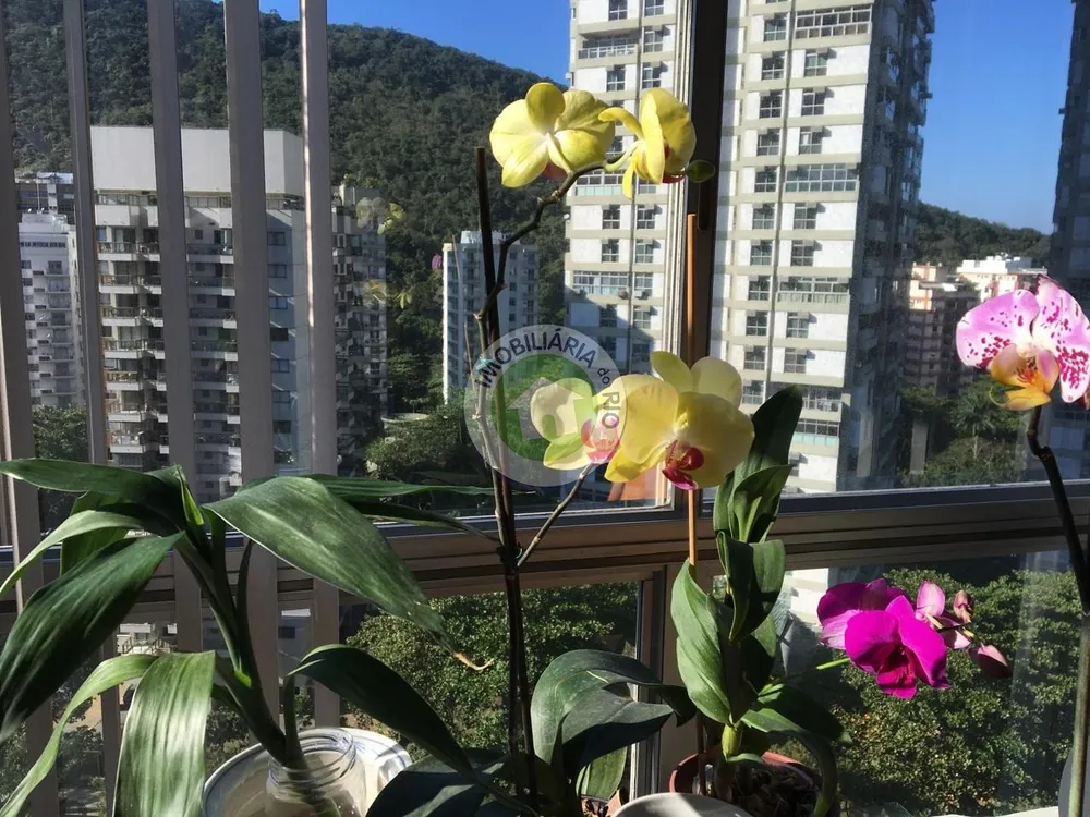 Apartamento, 3 quartos, 115 m² - Foto 7