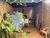Casa, 2 quartos, 61 m² - Foto 2