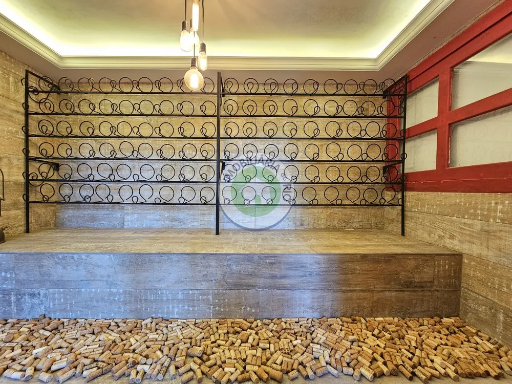 Casa, 5 quartos, 410 m² - Foto 24