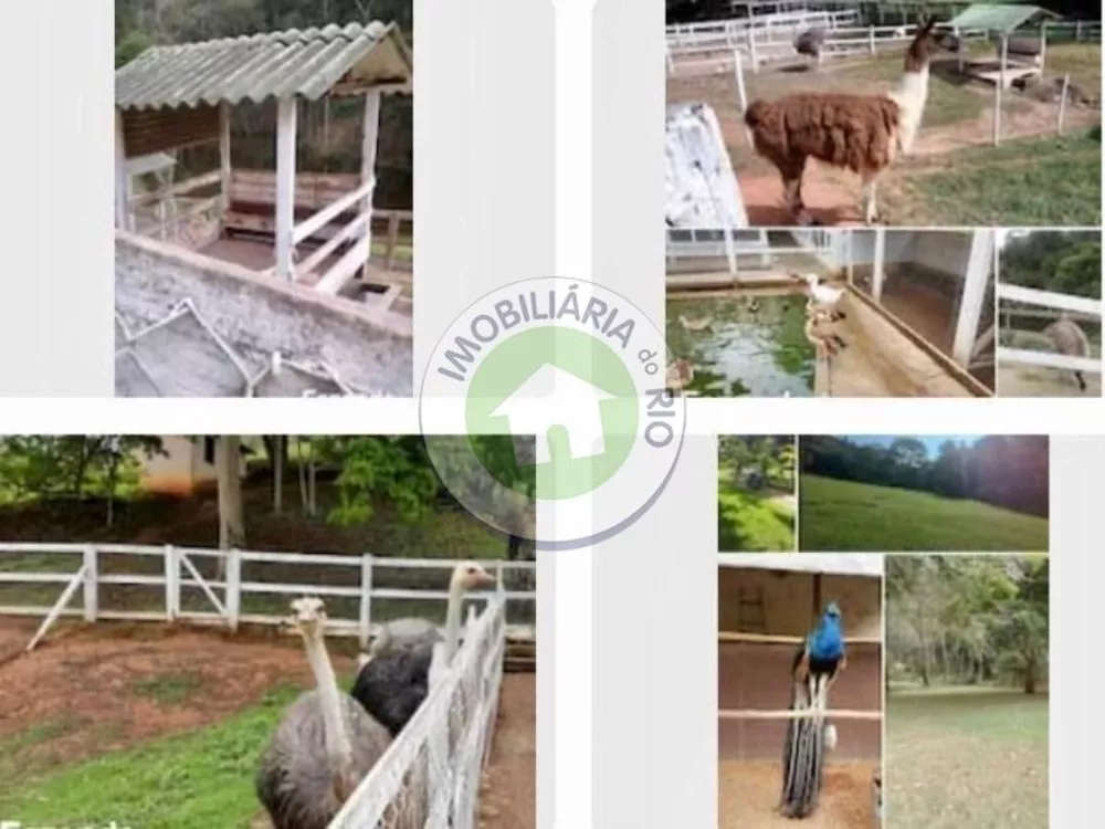 Prédio Inteiro - Foto 30