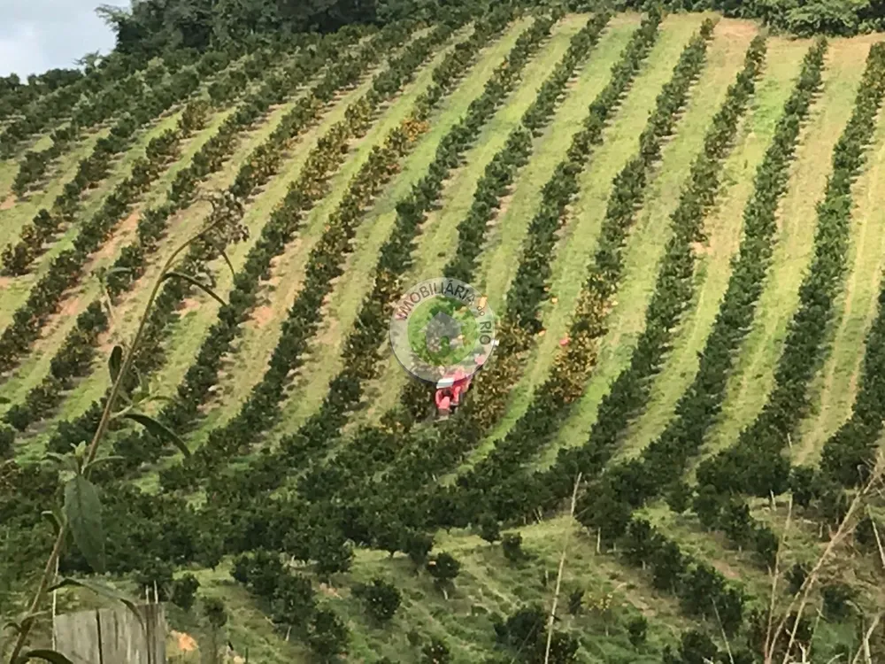 Fazenda, 4 quartos - Foto 5