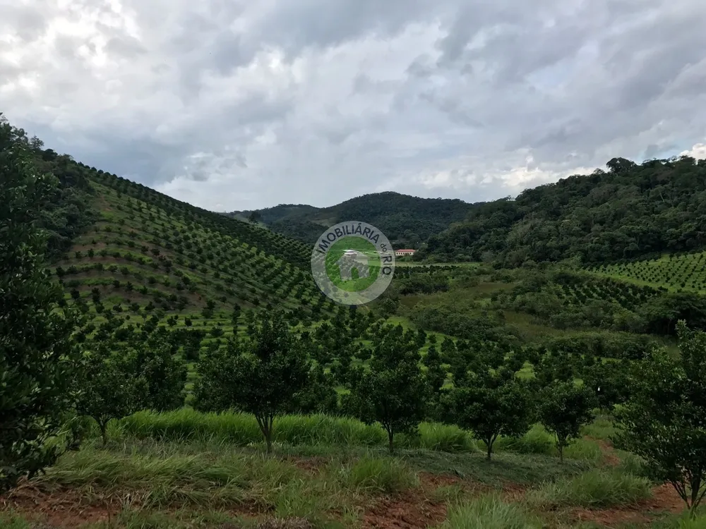 Fazenda, 4 quartos - Foto 6