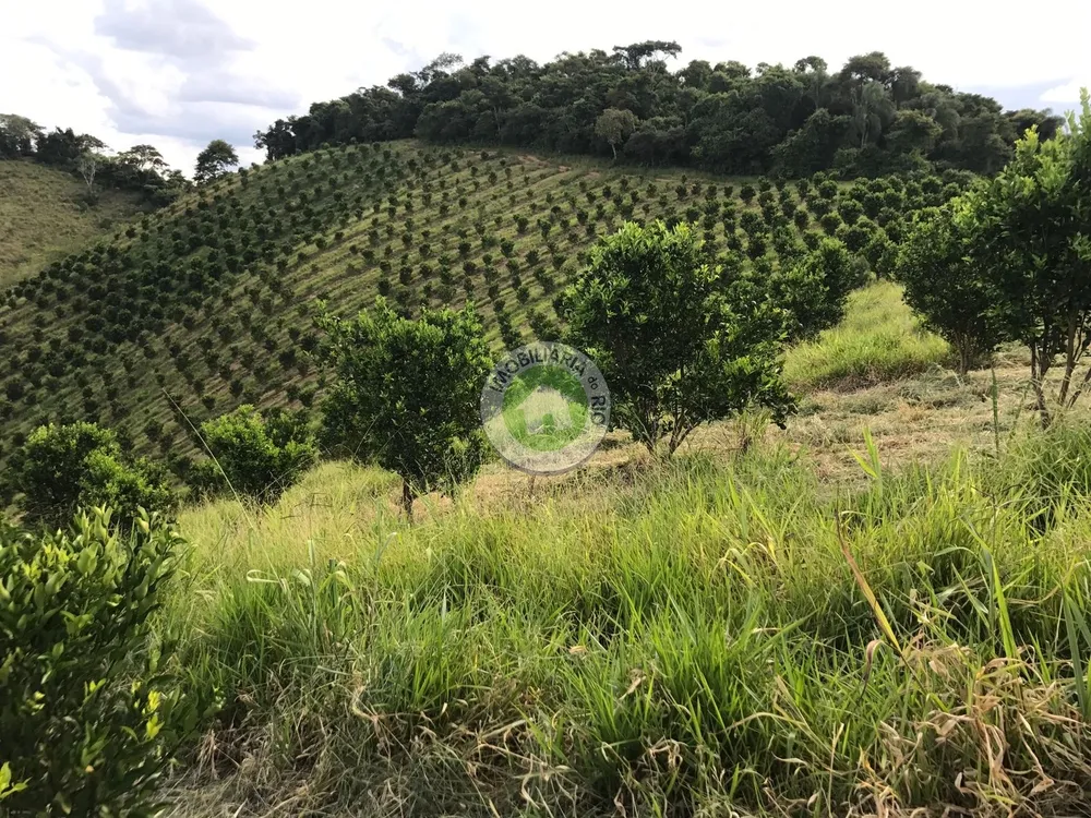 Fazenda, 4 quartos - Foto 4