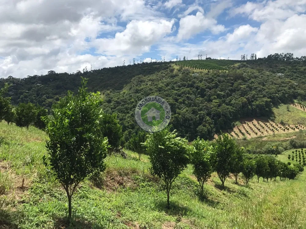 Fazenda, 4 quartos - Foto 2