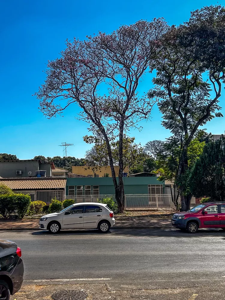 Casa, 4 quartos, 206 m² - Foto 8