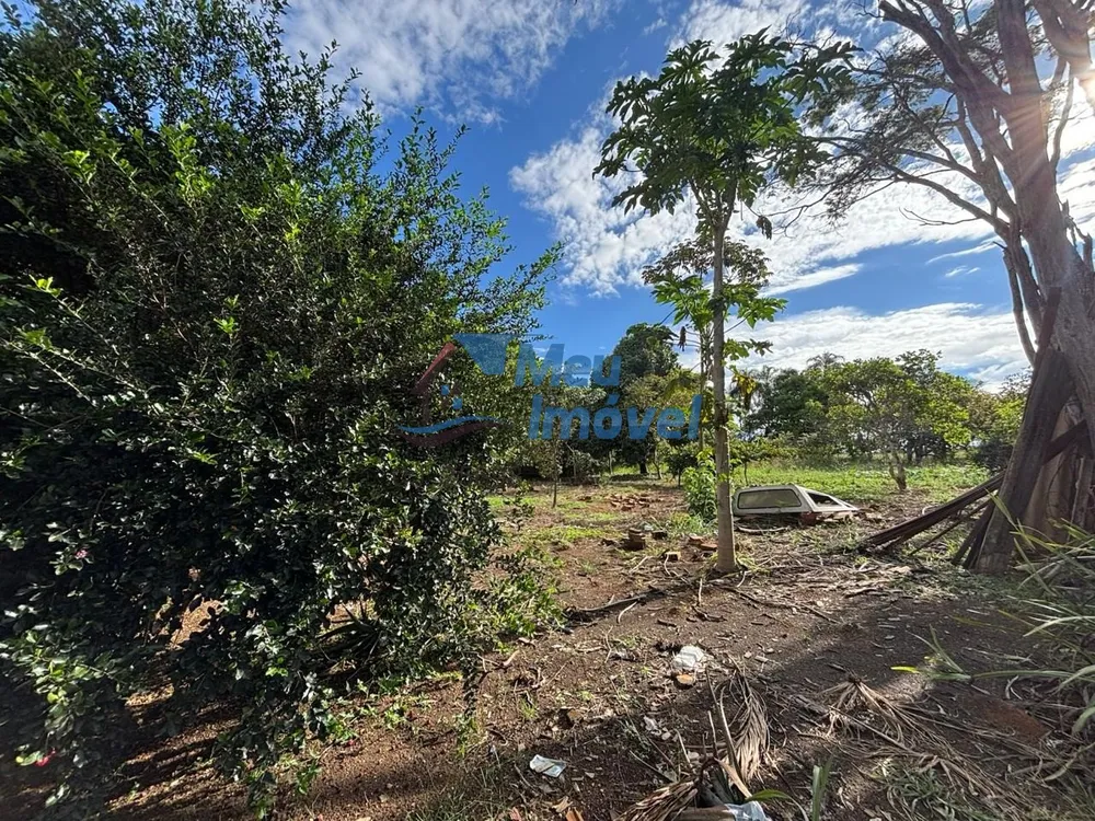 Chácara, 3 quartos, 2 hectares - Foto 4