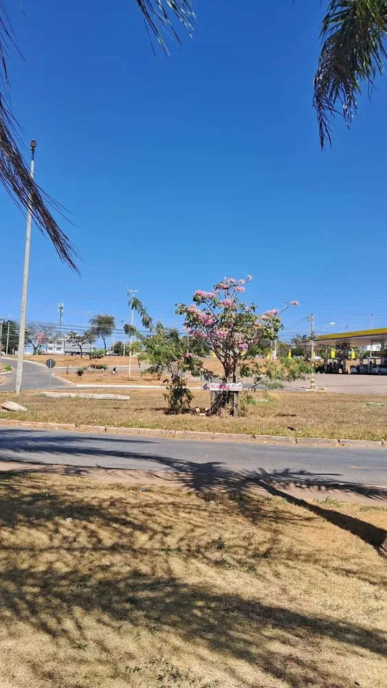 Terreno, 570 m² - Foto 13