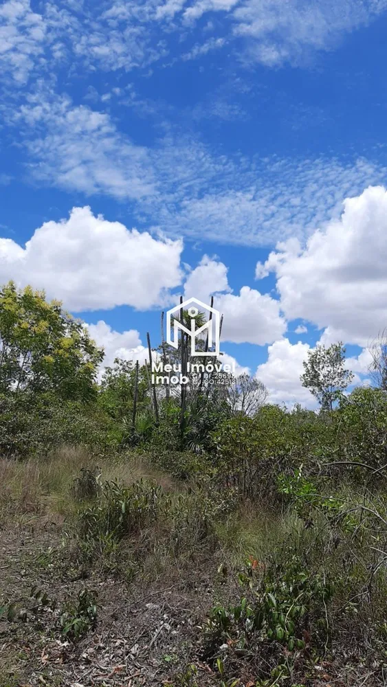 Fazenda, 8947 m² - Foto 8