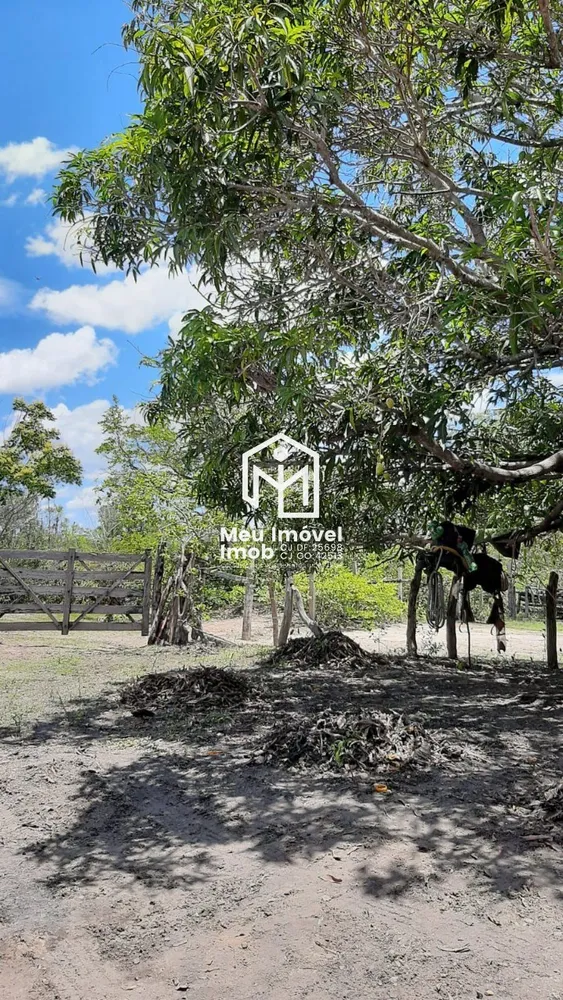 Fazenda, 8947 m² - Foto 1