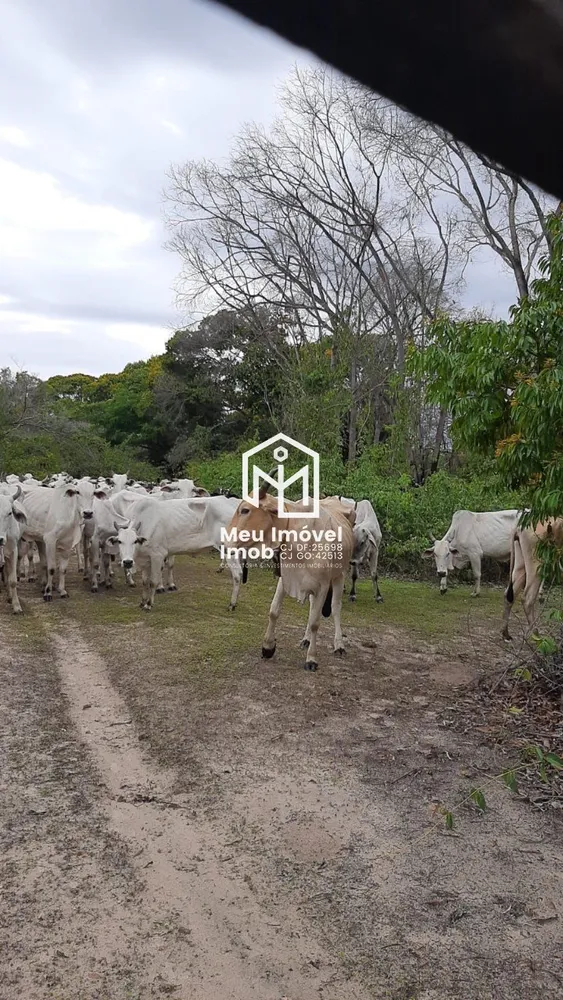 Fazenda, 8947 m² - Foto 7