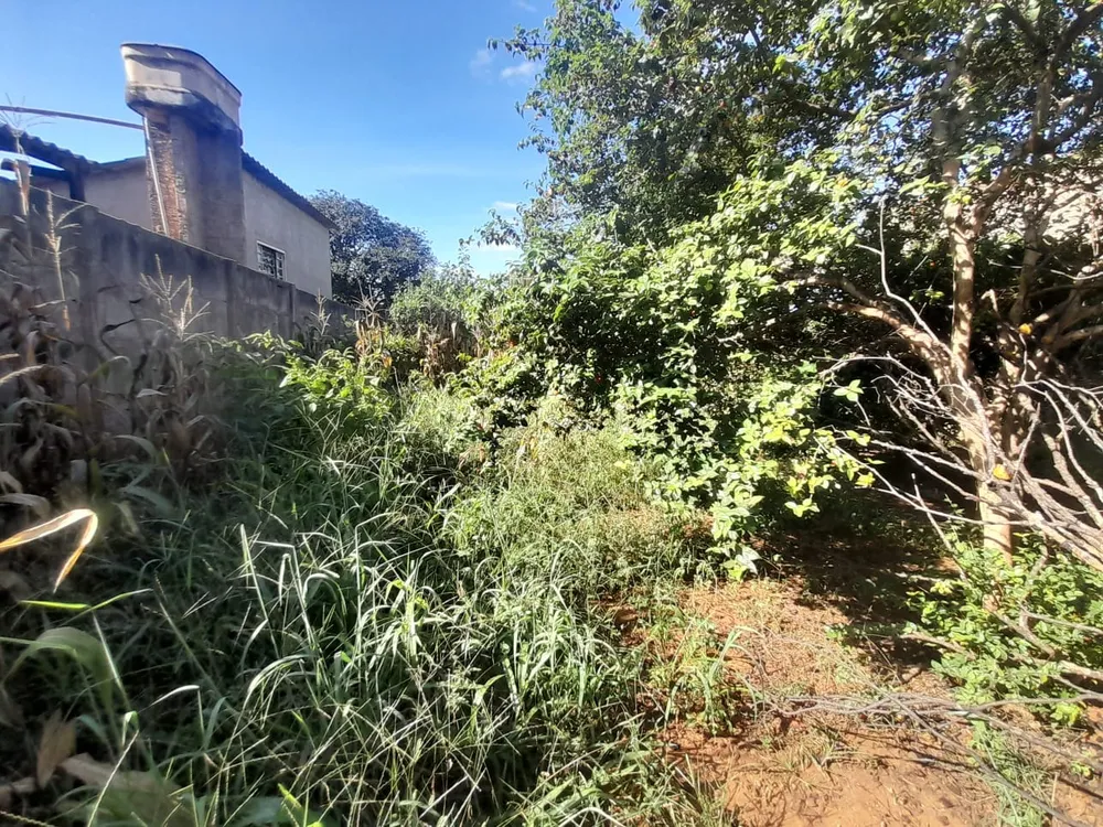 Casa, 4 quartos, 441 m² - Foto 8