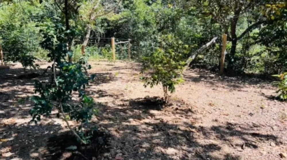 Chácara, 2 quartos, 1000 m² - Foto 1