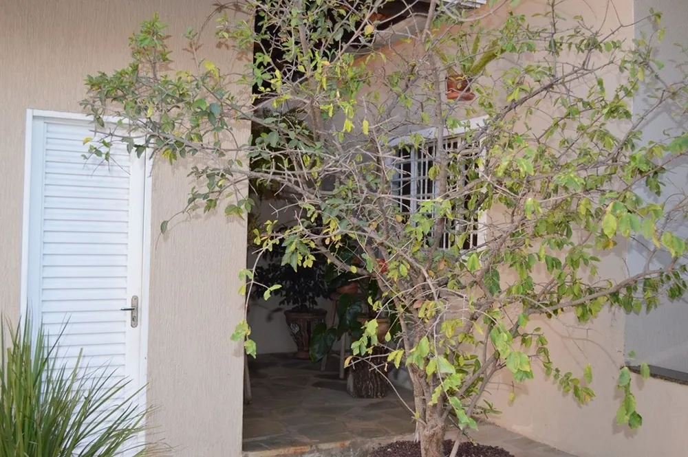 Casa, 4 quartos, 800 m² - Foto 7