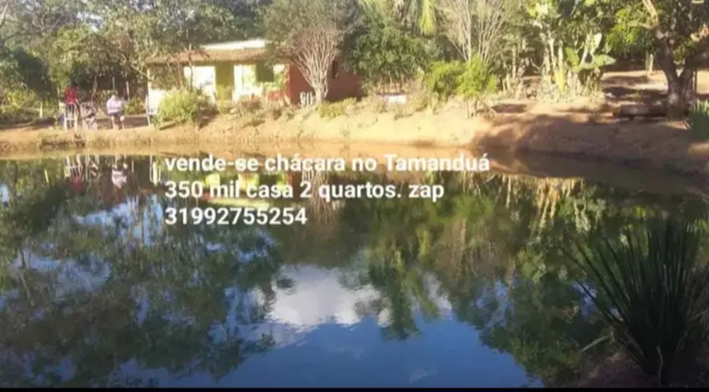 Chácara, 2 quartos, 3000 m² - Foto 4
