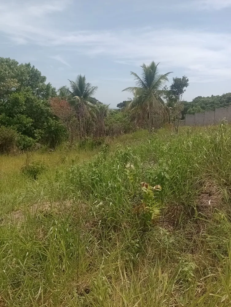 Terreno, 3000 m² - Foto 1