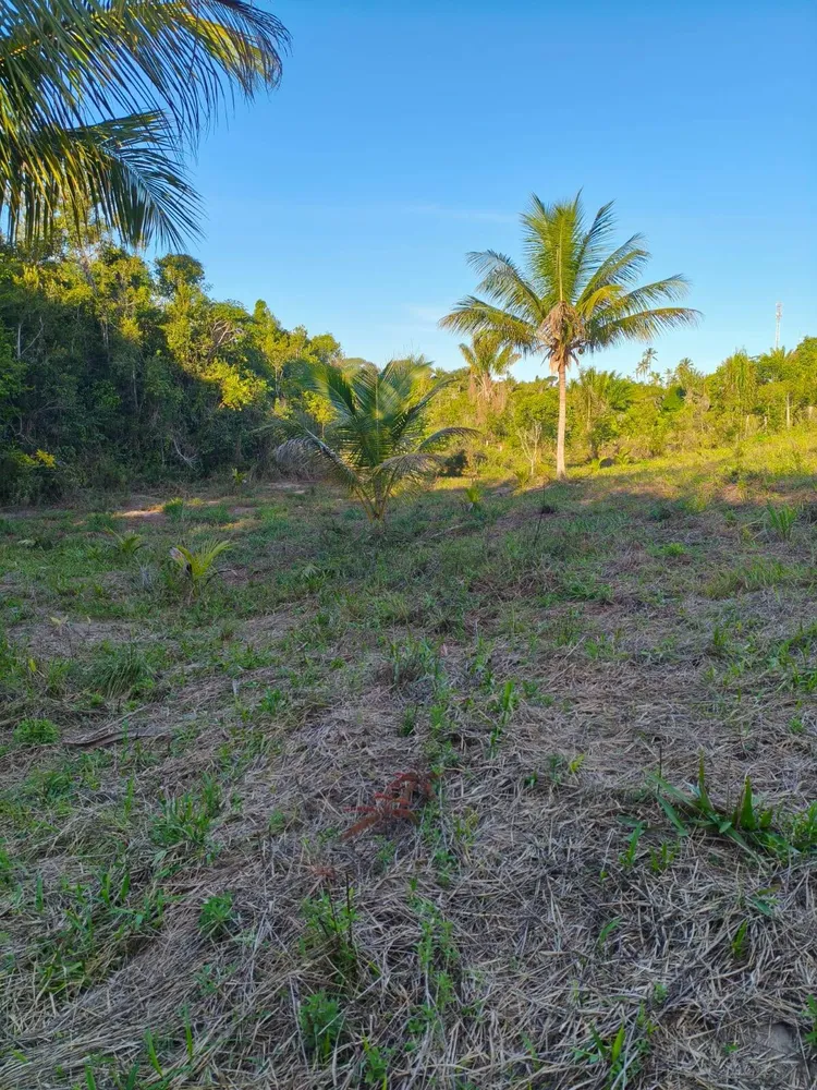 Terreno, 3 hectares - Foto 3