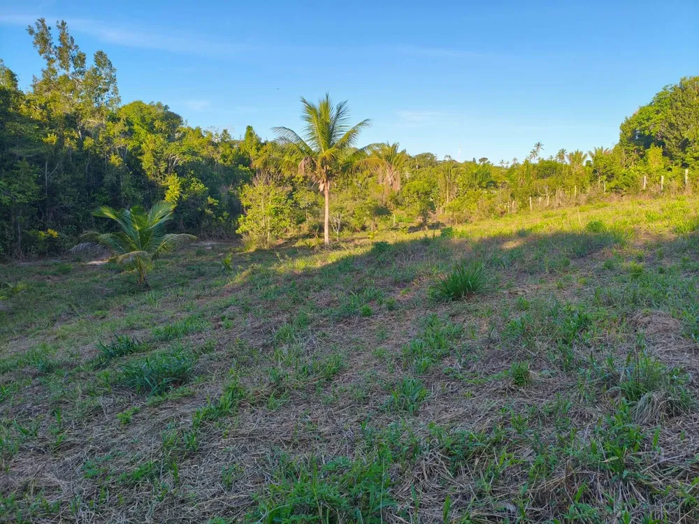 Terreno, 3 hectares - Foto 1