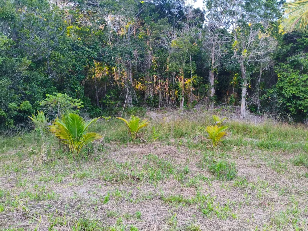 Terreno, 3 hectares - Foto 2