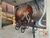Apartamento, 1 quarto, 33 m² - Foto 41