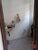 Casa de Condomínio, 5 quartos - Foto 10