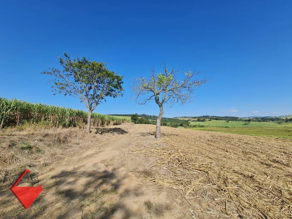 Fazenda, 104 hectares - Foto 4