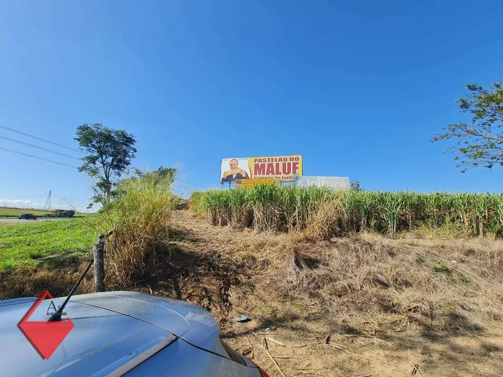 Fazenda, 104 hectares - Foto 3