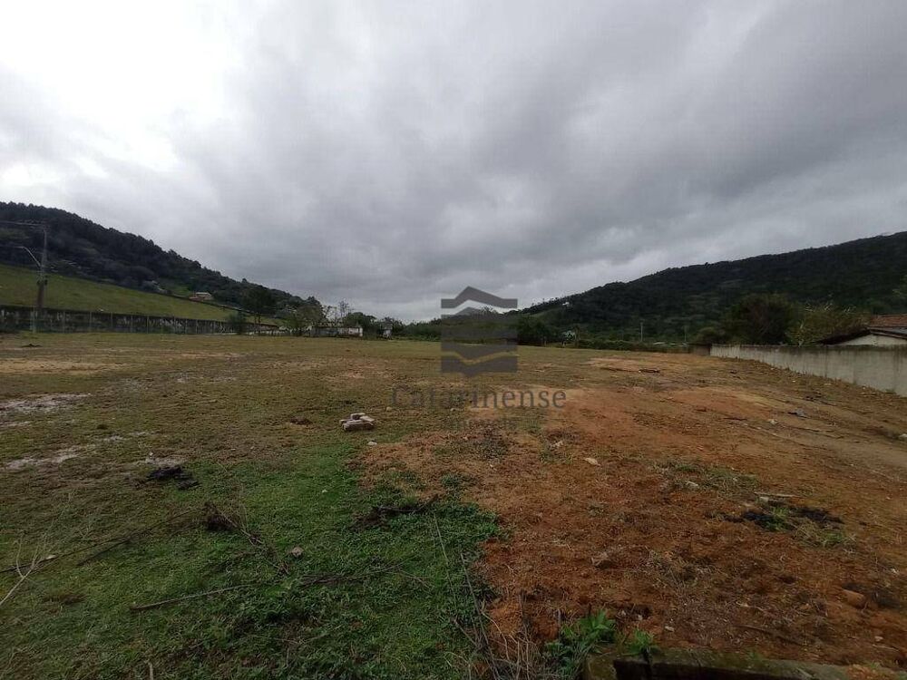 Terreno, 3506 m² - Foto 4