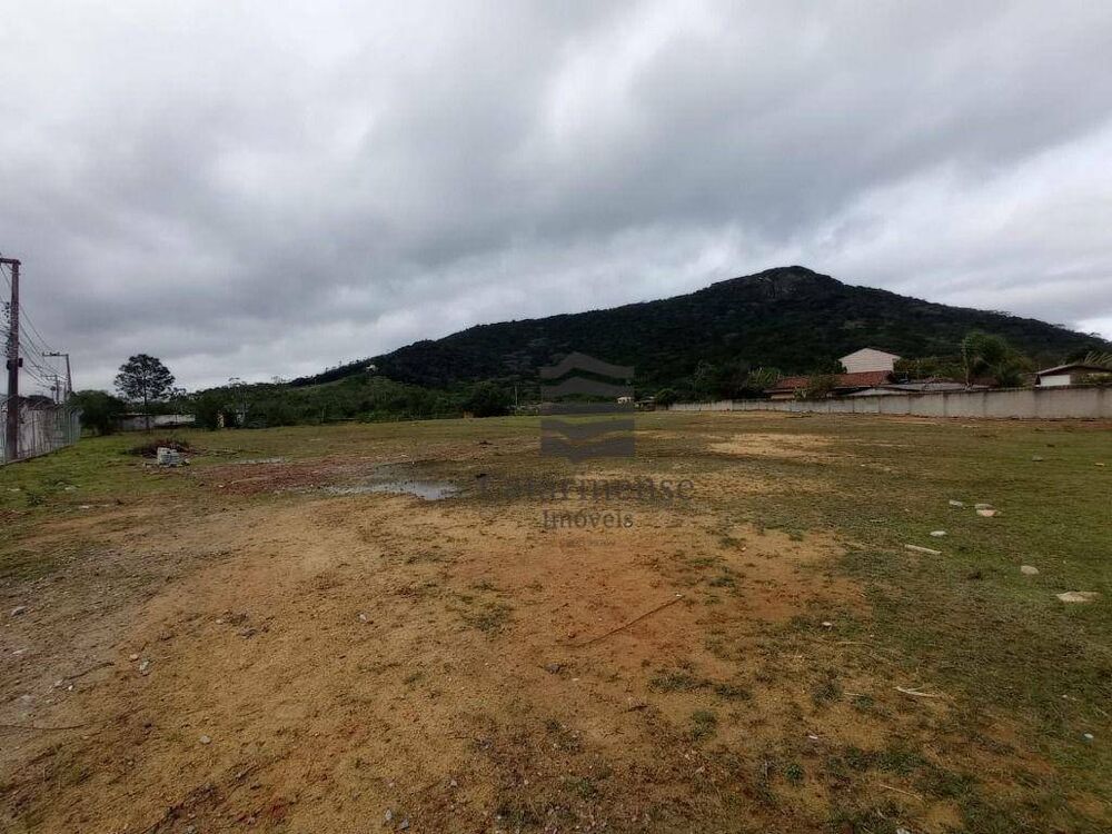 Terreno, 3506 m² - Foto 6