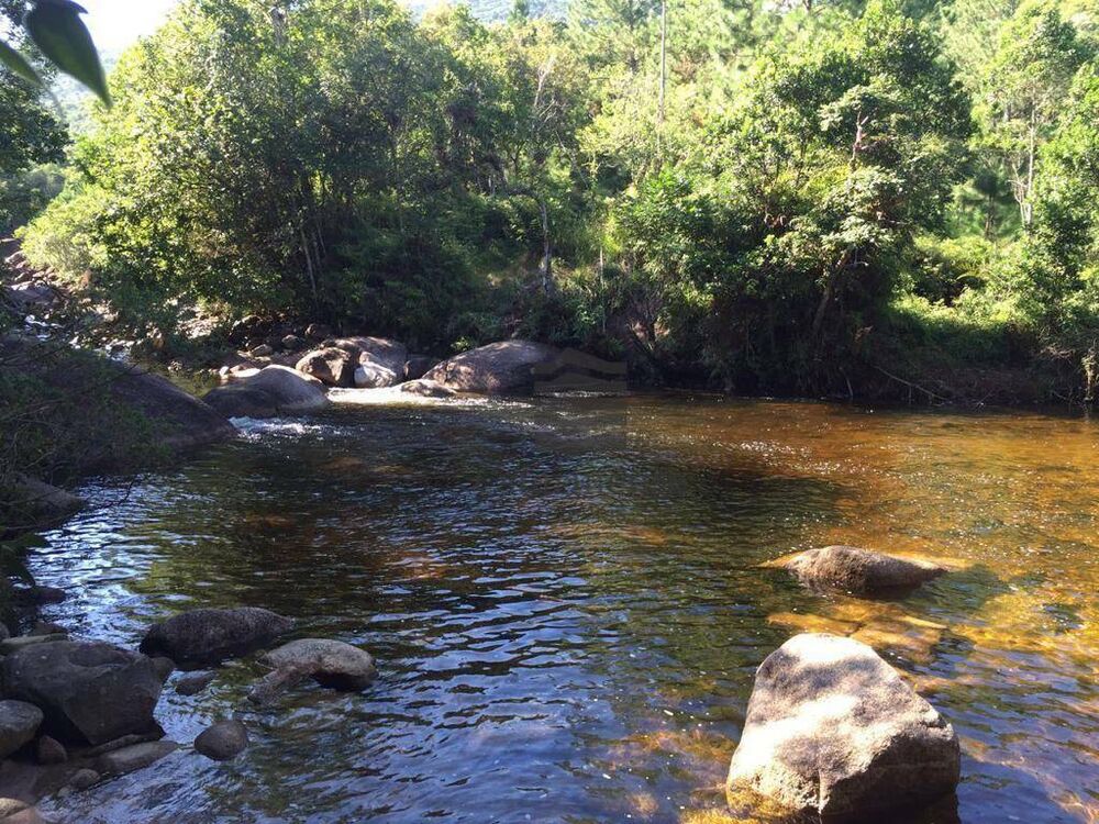 Sítio, 30 hectares - Foto 3