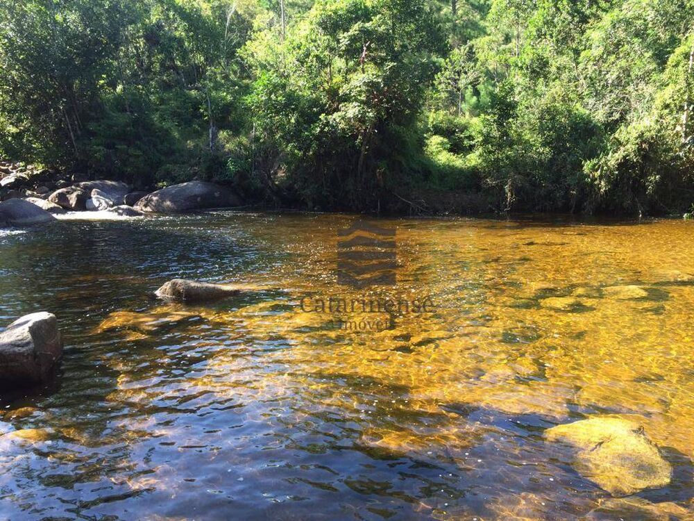 Sítio, 30 hectares - Foto 4