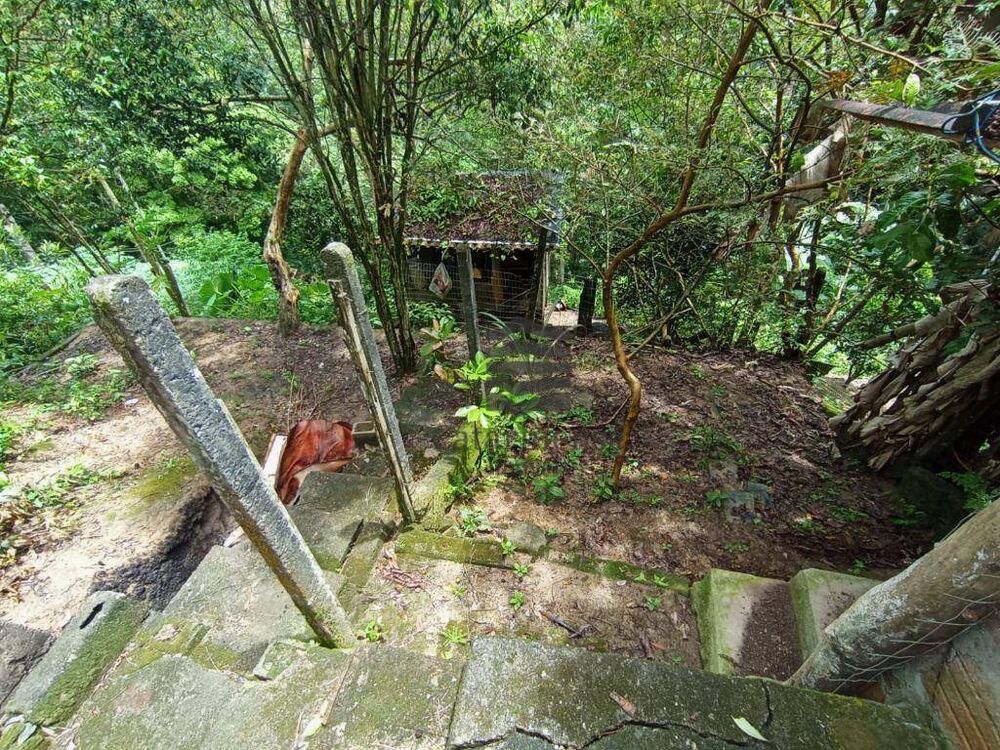 Chácara à venda com 3 quartos, 140m² - Foto 25