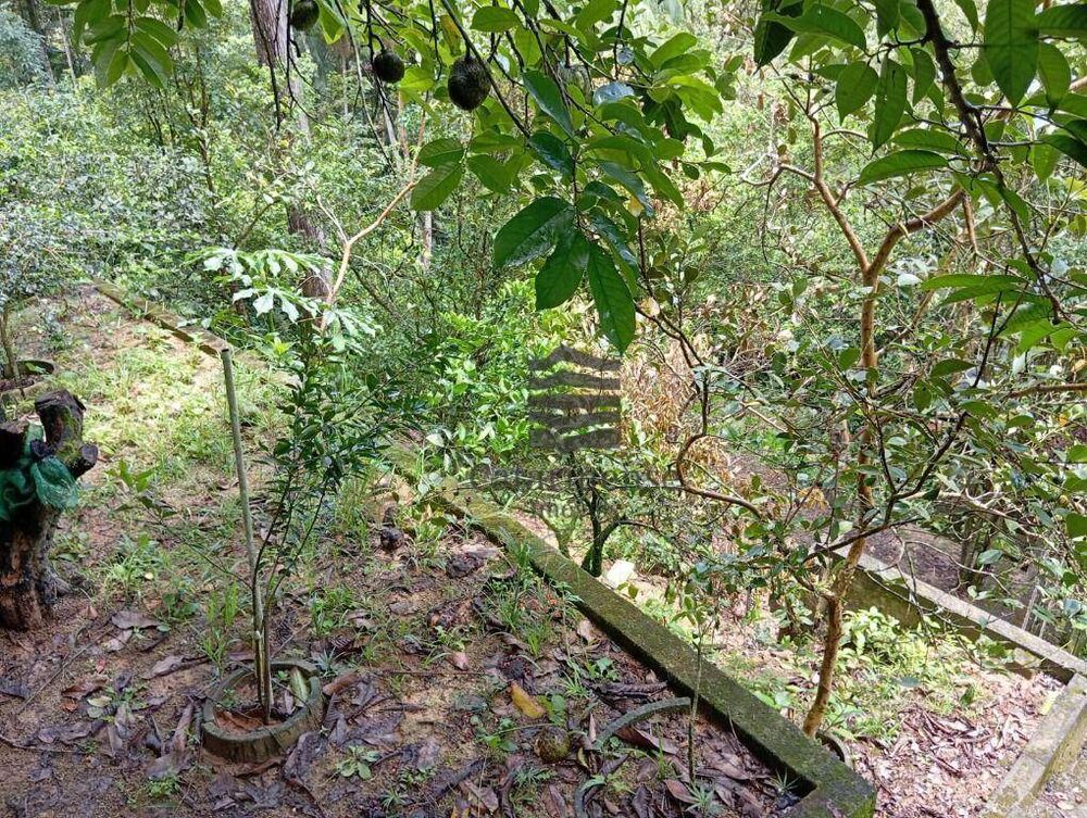 Chácara à venda com 3 quartos, 140m² - Foto 14