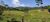 Terreno, 6500 m² - Foto 3