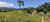 Terreno, 6500 m² - Foto 7