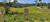 Terreno, 6500 m² - Foto 6
