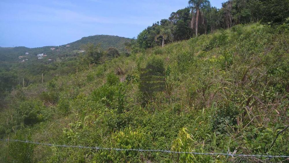 Terreno, 1542 m² - Foto 8