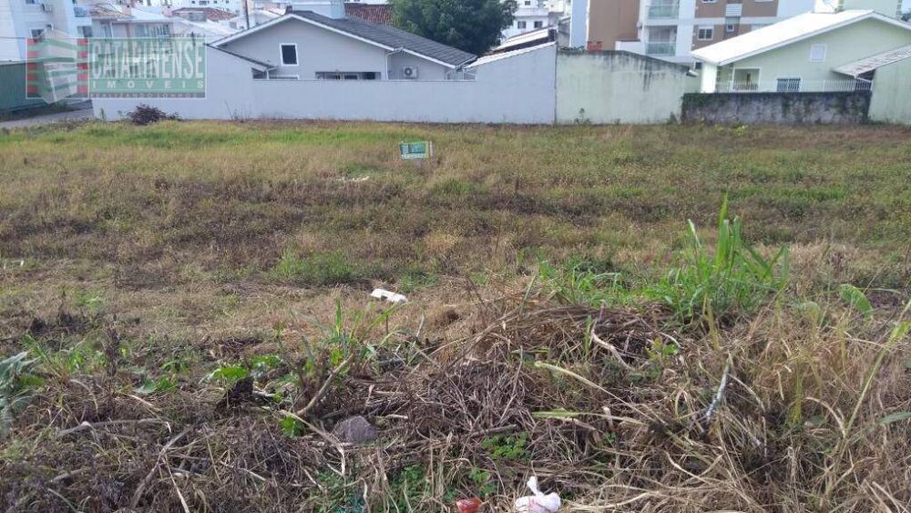 Terreno, 1440 m² - Foto 3