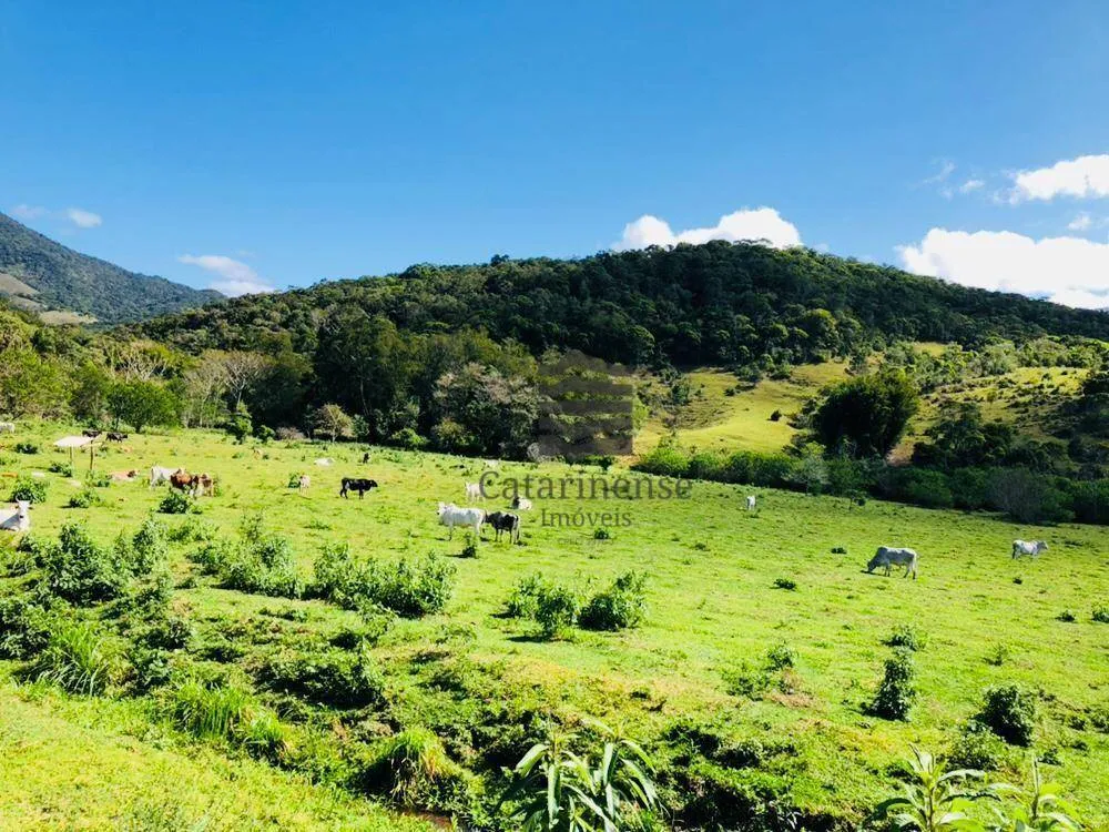 Fazenda, 200 hectares - Foto 1